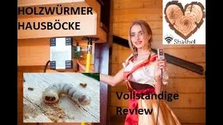 Mikrowellenanlage Shashel gegen HOLZWÜRMER, HAUSBÖCKE! Vollständige Review.