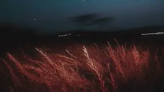 𝔟𝔩Δ𝔫𝔠 - Nimant