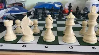 The Polish Series Plastic Chess Pieces
