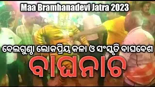 bellaguntha famous Tiger dance | ବେଲଗୁଣ୍ଠା ବାଘନାଚ ବେଶ | Bagha  nacha Vlog video #gundichaelectronics