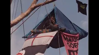 Save Canal Road Trees :: Occupation 2020 - Colour Graded