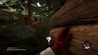 The forest with the boys