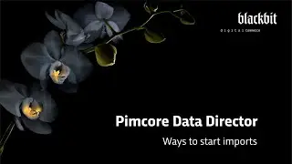 Pimcore Data Director: Ways to Run Imports and Exports