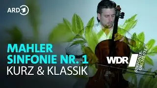 Gustav Mahler - Symphony No. 1 | 