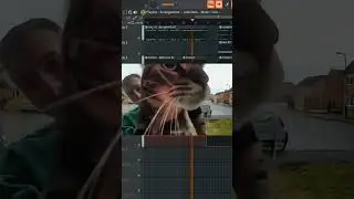 Maow phonk beat (drift phonk version)