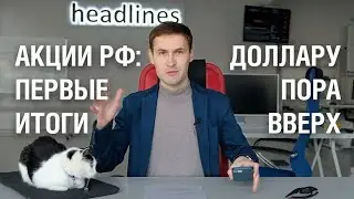 Доллару пора вверх. Что определяет движение активов на рынке?
