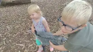 Children play with a goat