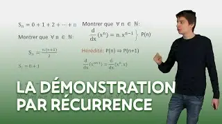 La démonstration par récurrence