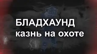 Бладхаунд - казнь на охоте в Apex Legends