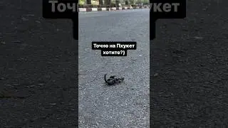 Точно на Пхукет хотите?