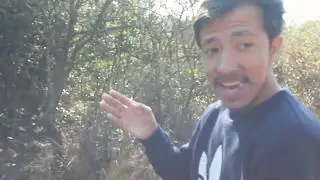 Hiking at Trail 5
