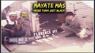 Bird 1- Mayate Mas