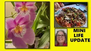 ORCHIDS IN BLOOM, AND WHAT IS KEEPING MY HANDS BUSY