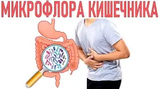 МИКРОФЛОРА КИШЕЧНИКА | Как преодолеть нарушение баланса микрофлоры в кишечнике