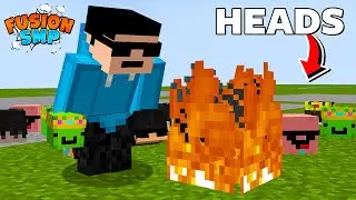 Why I'm Destroying these HEADS in Fusion SMP