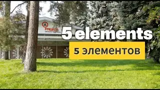 Pradnya: 5 элементов, 5 деревьев