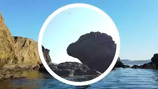 Карадагский змей ? Скелет на берегу и странные скалы.