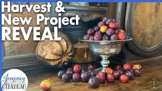 CHATEAU Garden Harvest and a New RENOVATION Project REVEAL! - Journey to the Château, Ep. 217