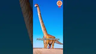 o maior animal que já existiu