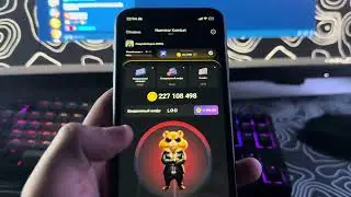 НОВЫЙ ШИФР 16 ИЮЛЯ В HAMSTER KOMBAT! КАК ПОЛУЧИТЬ 1 МЛН МОНЕТ