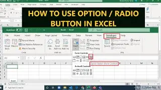 How to Insert and Use a Radio Button/Option Button in Excel | Option Button in Microsoft Excel |