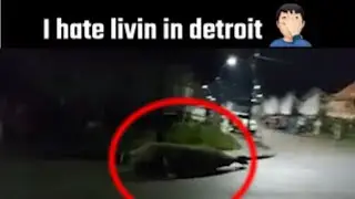 I hate livin in detroit