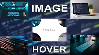 How to Build Clip path Hover Effect Using HTML and CSS Only by Coding Script