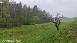 Апрельские Зборы Виноградных Улиток!