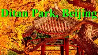 Beautiful morning at Ditan Park in Beijing
