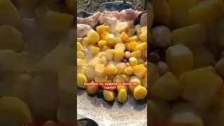 Весна, садж 