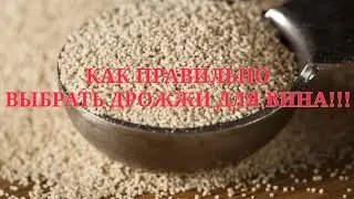 КАК ПРАВИЛЬНО ВЫБРАТЬ ДРОЖЖИ ДЛЯ ВИНА!!!
