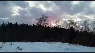 Лесной закат