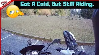Have A Cold But I Am Riding My Ninja 650