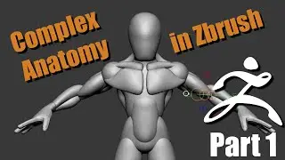 Complex Anatomy in Zbrush / Part 1