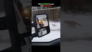 Running For Life... 