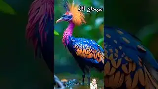 #explore