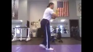 Alternating Reverse Lunges (Side View)