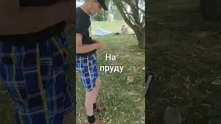 На пруду