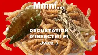 DÉGUSTATION D’INSECTE!!(Ft.Jwez_)
