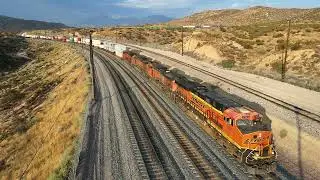 Morning Action at the Martinez Spur
