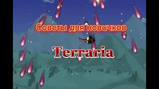 Советы для новичков в Terraria