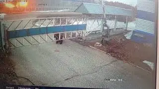 Медведь возле КС-10