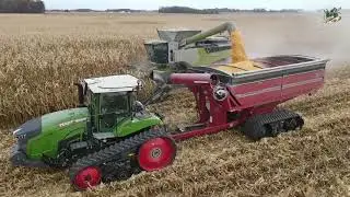 Corn Harvest 2023 Video from Darke County Ohio | Claas Lexion 8600 Combine