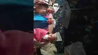 3 августа 2024 г.
