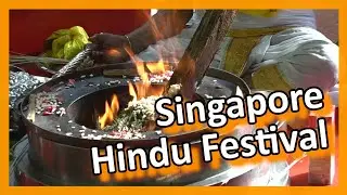 Singapore - Sri Veeramakaliamman Temple - Maha Shivarathri Festival