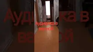 ПСИТЕРРОР. НАГРЕВ МОЕЙ КВАРТИРЫ НОЧЬЮ И АУДИАЛКА 24/7