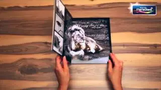 dm Foto Paradies - Fotobuch Softcover A4 hoch
