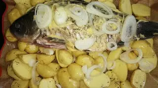 летнее меню / быстро / вкусно /лазанья