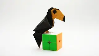 ORIGAMI TOUCAN (Jiahui Li (Syn))