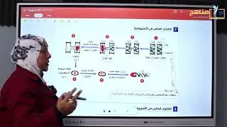 مراجعة هامة على التكاثر بالإقتران أحياء ٣ث